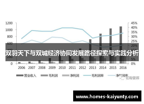 双羽天下与双城经济协同发展路径探索与实践分析 双羽天下与双城经济协同发展路径探索与实践分析