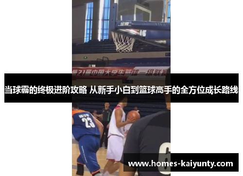 当球霸的终极进阶攻略 从新手小白到篮球高手的全方位成长路线