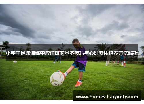 小学生足球训练中应注重的基本技巧与心理素质培养方法解析 小学生足球训练中应注重的基本技巧与心理素质培养方法解析
