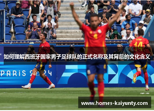 如何理解西班牙国家男子足球队的正式名称及其背后的文化含义