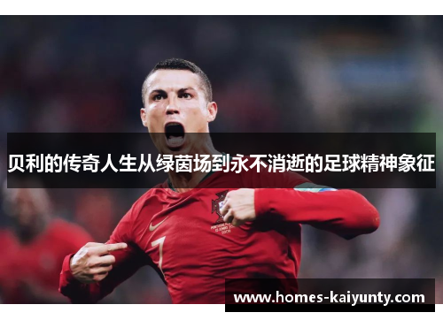 贝利的传奇人生从绿茵场到永不消逝的足球精神象征 贝利的传奇人生从绿茵场到永不消逝的足球精神象征