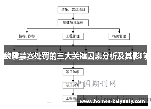 魏震禁赛处罚的三大关键因素分析及其影响