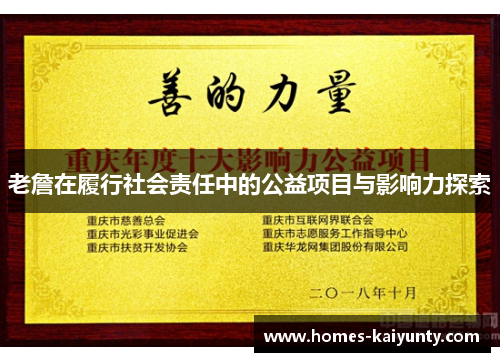 老詹在履行社会责任中的公益项目与影响力探索