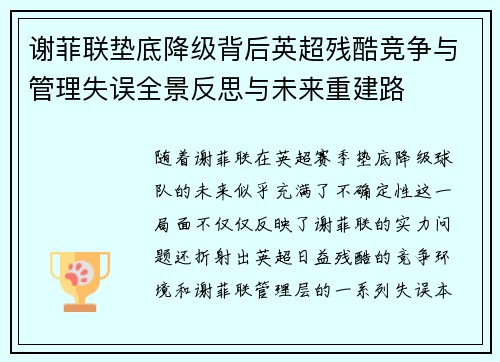 谢菲联垫底降级背后英超残酷竞争与管理失误全景反思与未来重建路